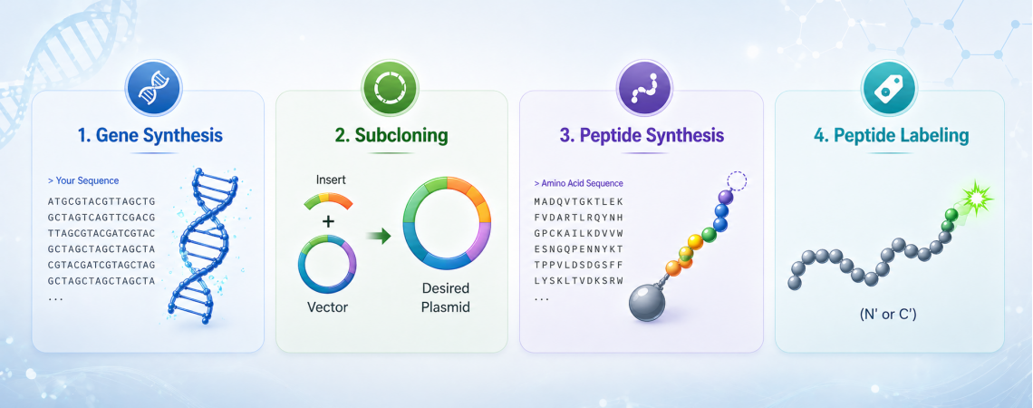 Customer Service Banner