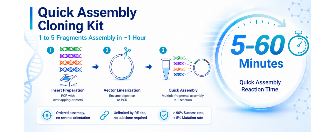 Quick Assembly Banner 260428